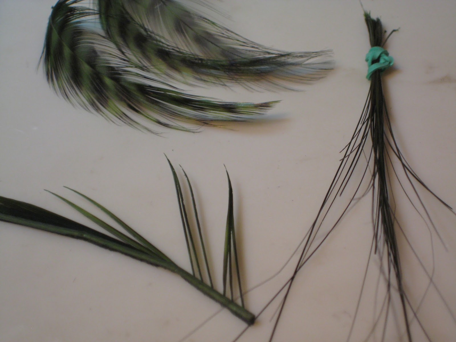 My Trout Fly Dyeing your own fly tying materials in your microwave.