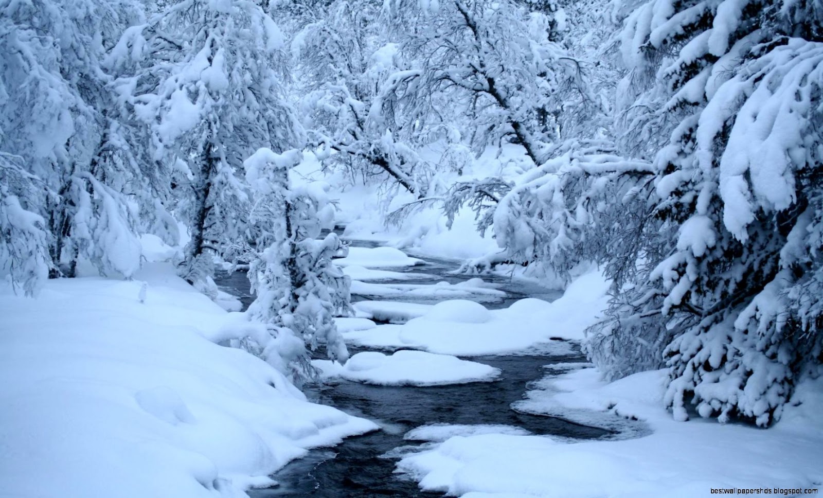 Snow Trees Winter River Landscape Snow Trees Winter River Landscape