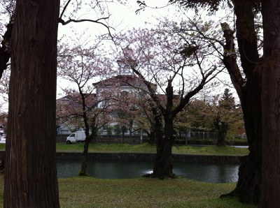 Img_1661 Img_1661