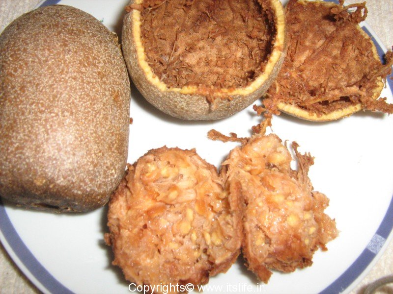 The Earth of India All About Wood Apple Fruit