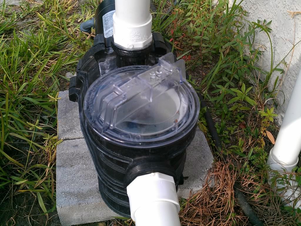 Diagnosing Pool Pump Air Leaks America's Swimming Pool Company