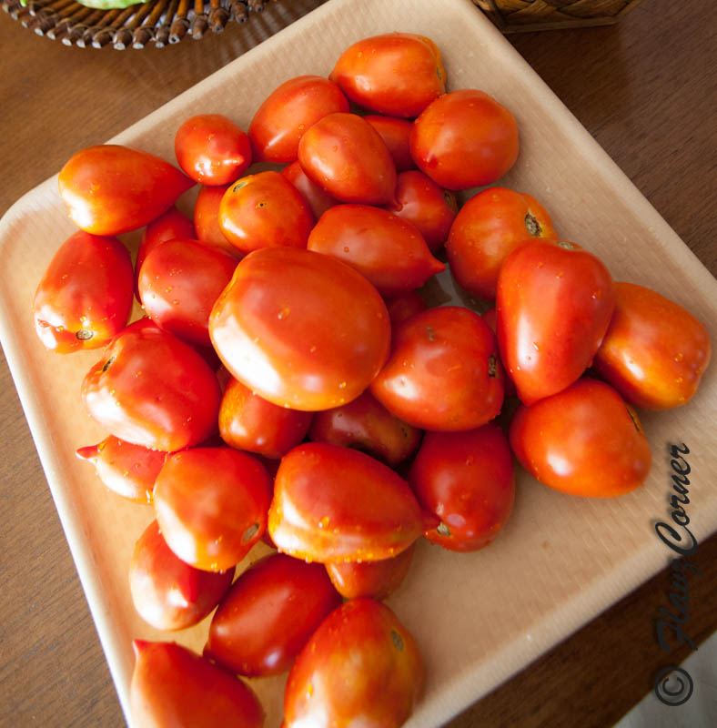 Homemade Tomato Basil Sauce