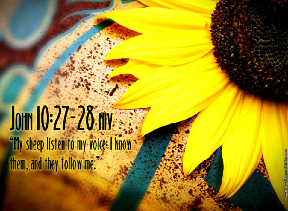 Spring Wallpapers with Bible Verses 1024x768PX Christian Spring Spring Wallpapers with Bible Verses 1024x768PX Christian Spring