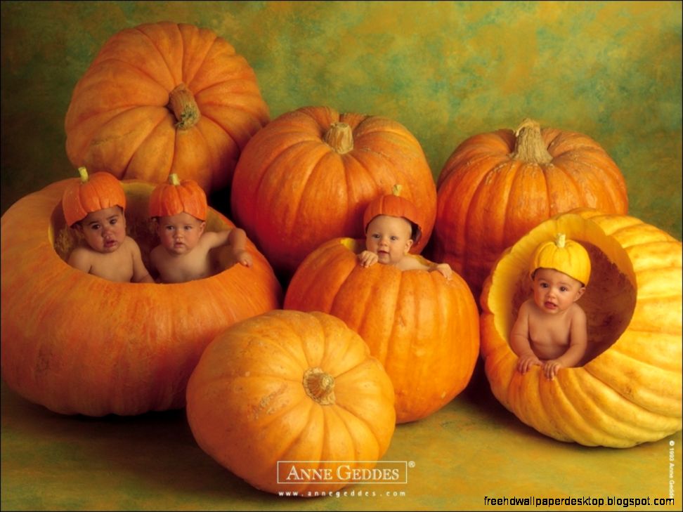Anne Geddes Cute Baby 6993750 Anne Geddes Cute Baby 6993750