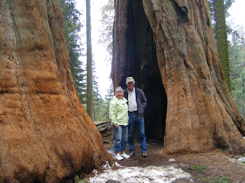 Sequoia State Park