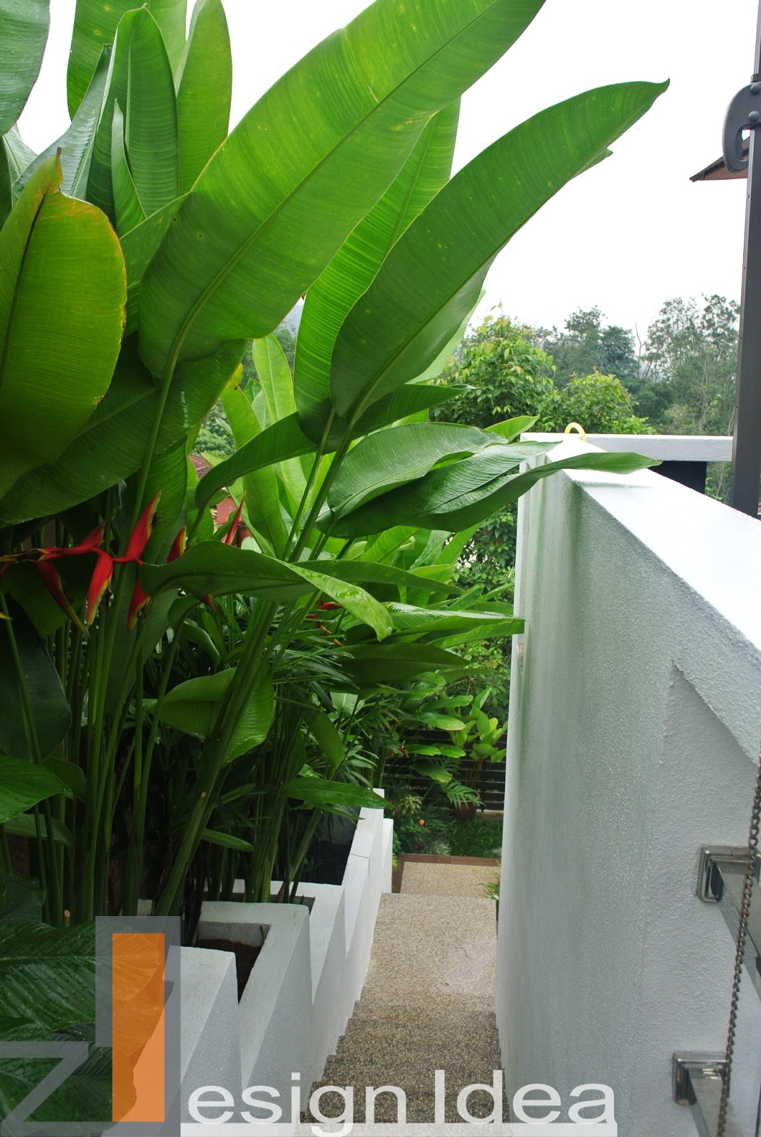 Tropical Outdoor Living : Tropical Garden (Design,Build ...