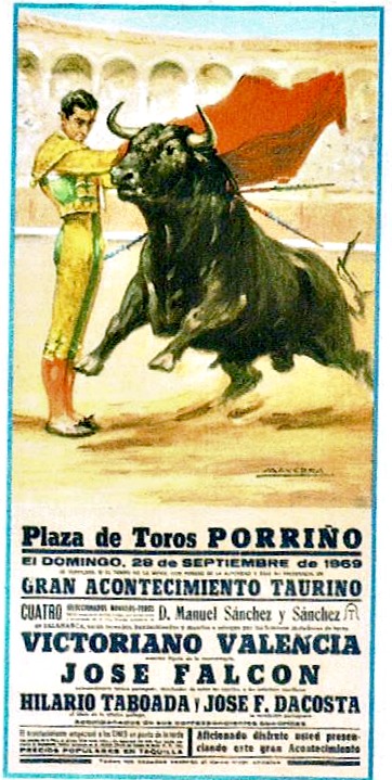 porriño toros