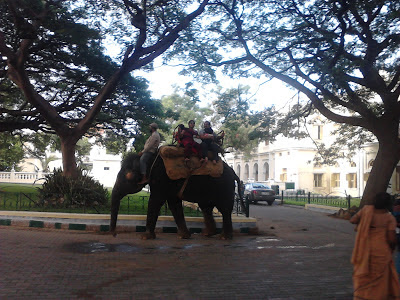 elephant safari in India elephant safari in India