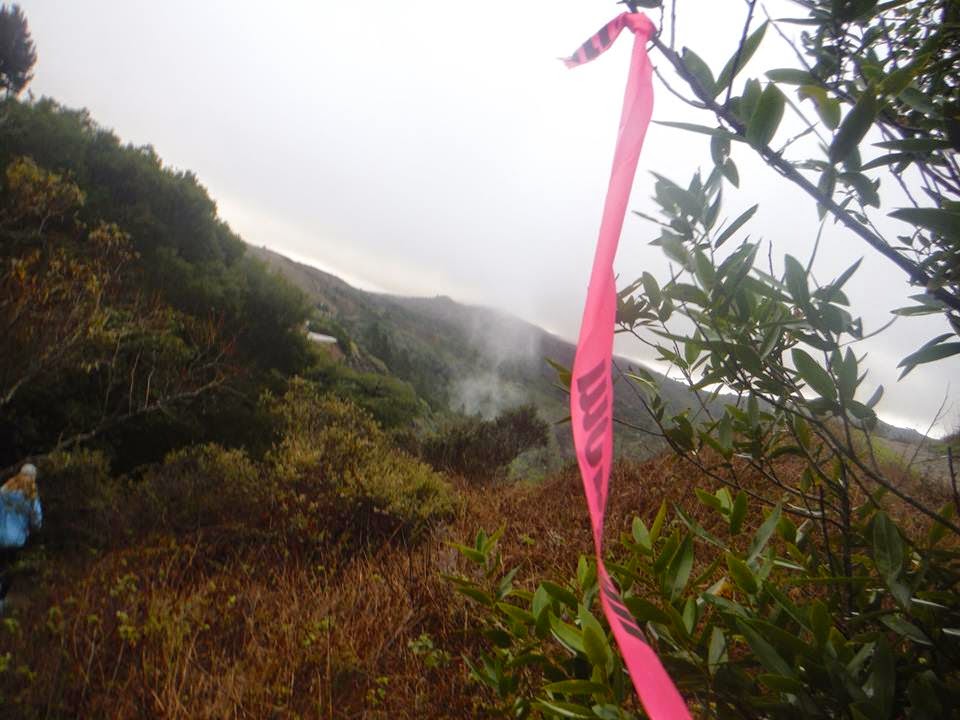 Leo Lundy race reports Quad Dipsea