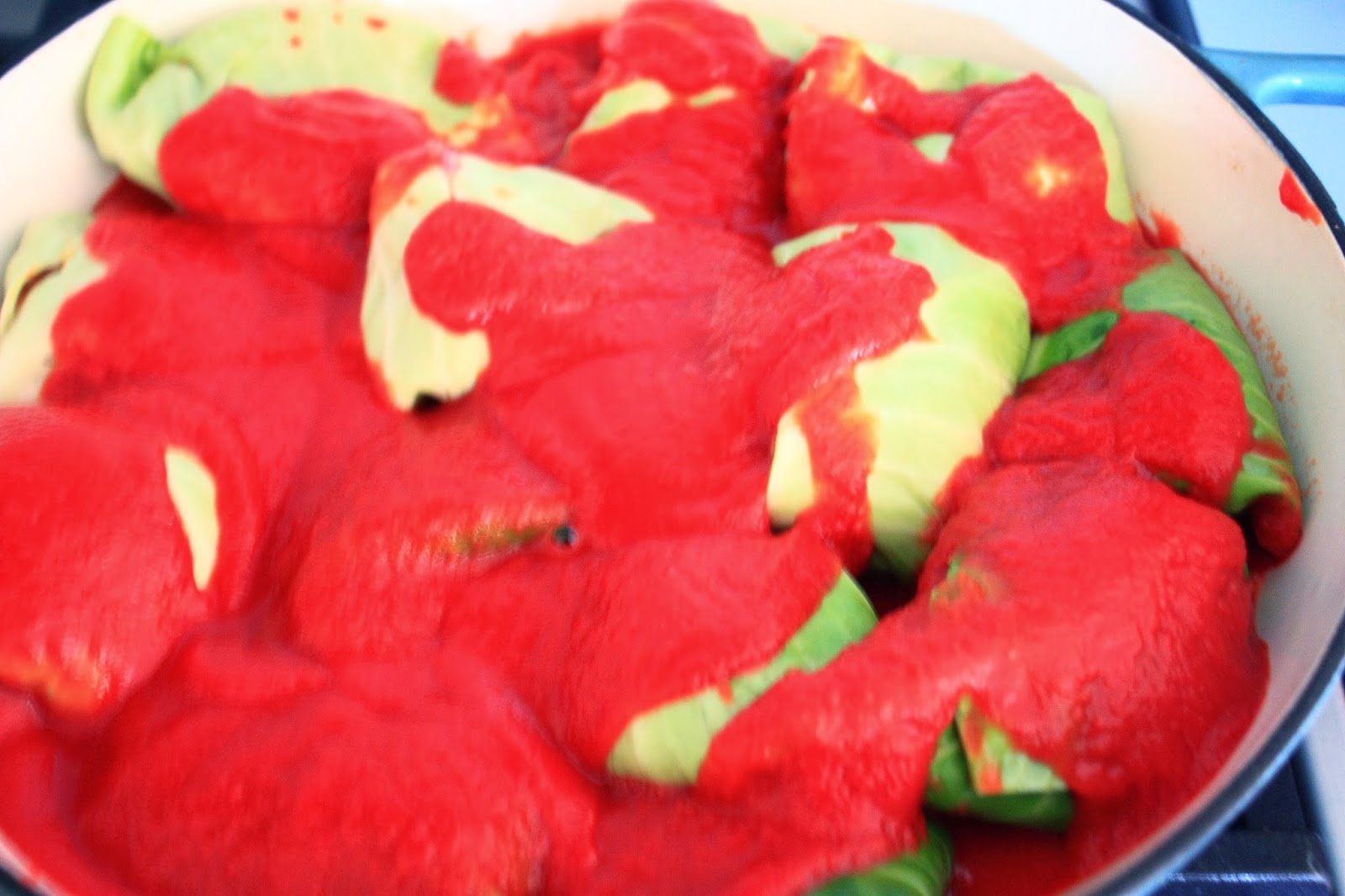 Kate's Weekend Kitchen Ina Garten's Stuffed Cabbage Rolls