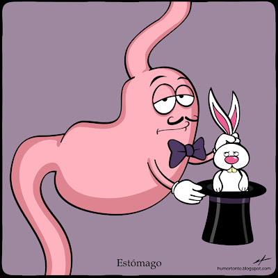 estomago_FBlog.jpg