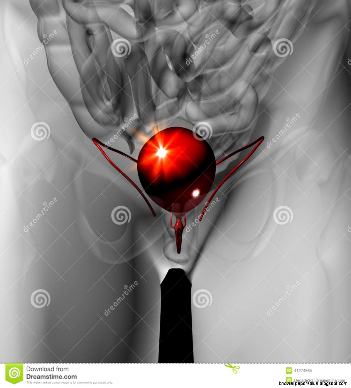 Bladder Anatomy And Relation To Uterus Stock Image Image 12436231 Bladder Anatomy And Relation To Uterus Stock Image Image 12436231