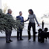 H Michelle με τους Bo και  Sunny καλωσορίζουν το δέντρο!...