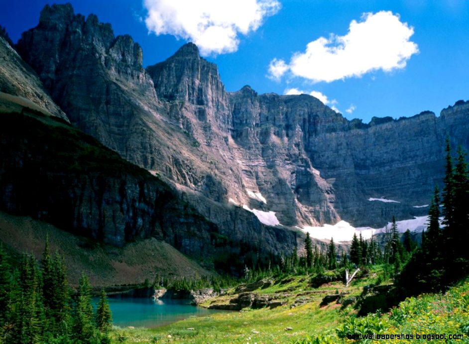 free nature wallpapernature wallpaperdownload free wallpaper free nature wallpapernature wallpaperdownload free wallpaper