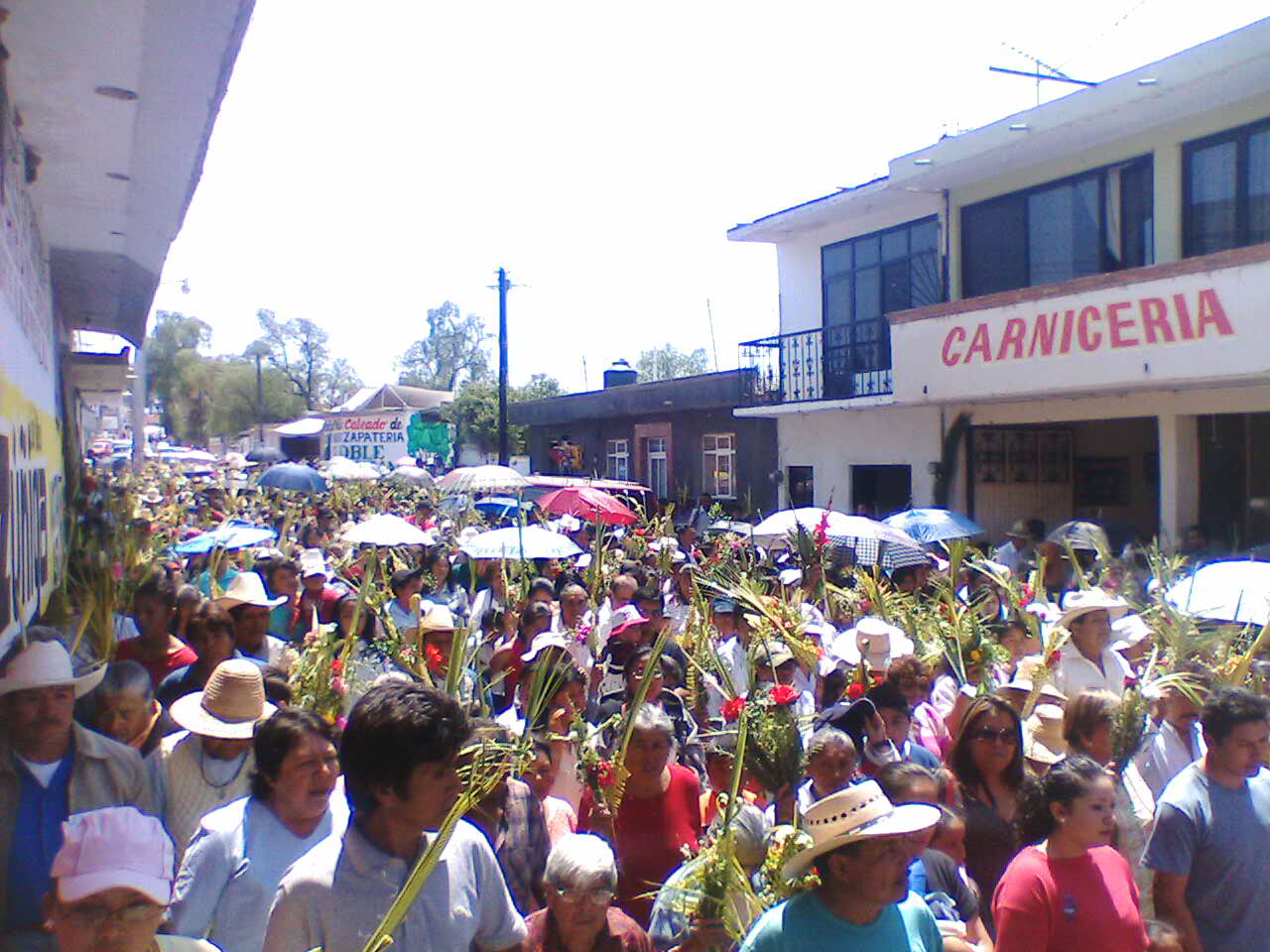 Orgullosamente Hidalguense festividades de Alfajayucan