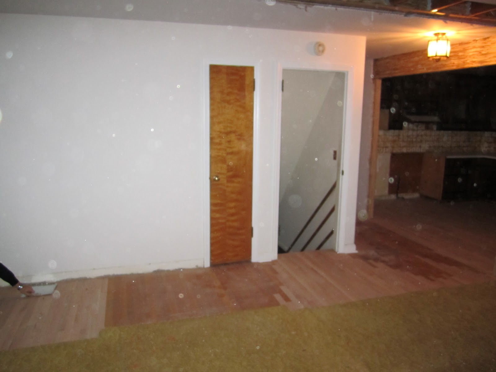 Retro Ranch Reno Litter Box Problems & Barn Door Solutions