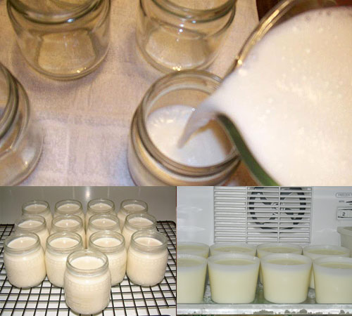 Cách làm Yaourt bằng sữa đặc và sữa tươi đơn giản tại nhà - Ảnh 2