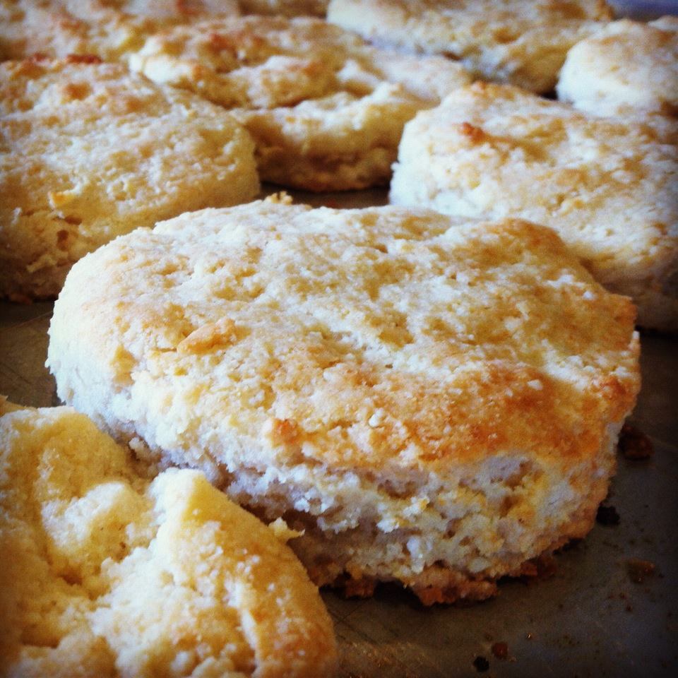 Haley's Low Carb Creations Low Carb 'Buttermilk' Biscuits