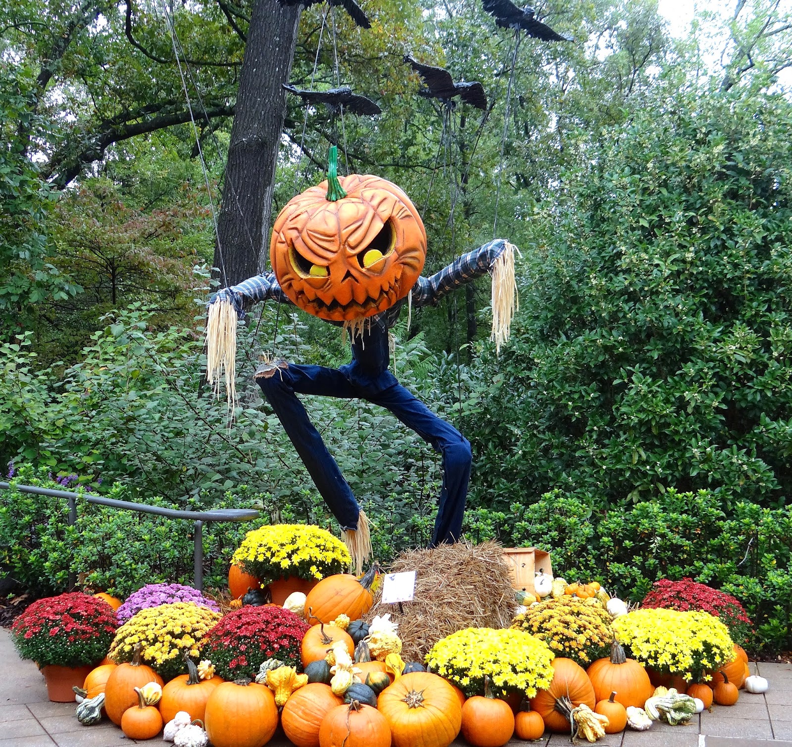 Phillip S Natural World 1 0 2 Halloween Scarecrows In The Garden