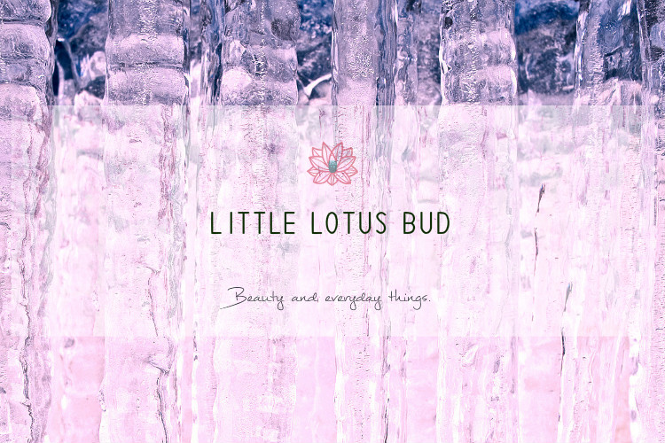 Little Lotus Bud