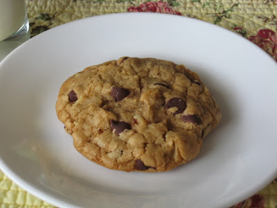 America's Test Kitchen Thick and Chewy Chocolate Chip Cookie