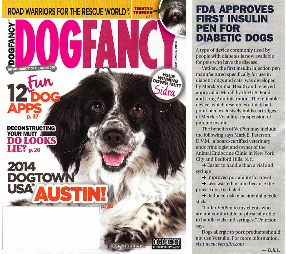 insulin for dogs animal endocrine networkedblogs by ninua insulin for dogs animal endocrine networkedblogs by ninua