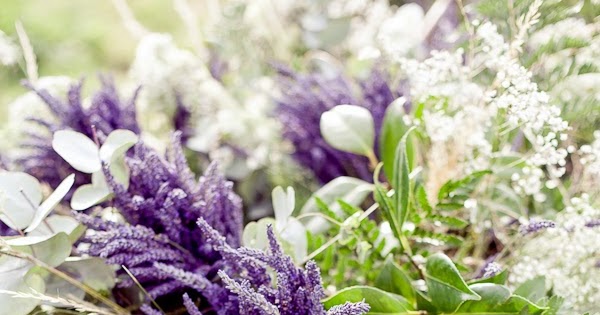 Arriba las flores del jardín