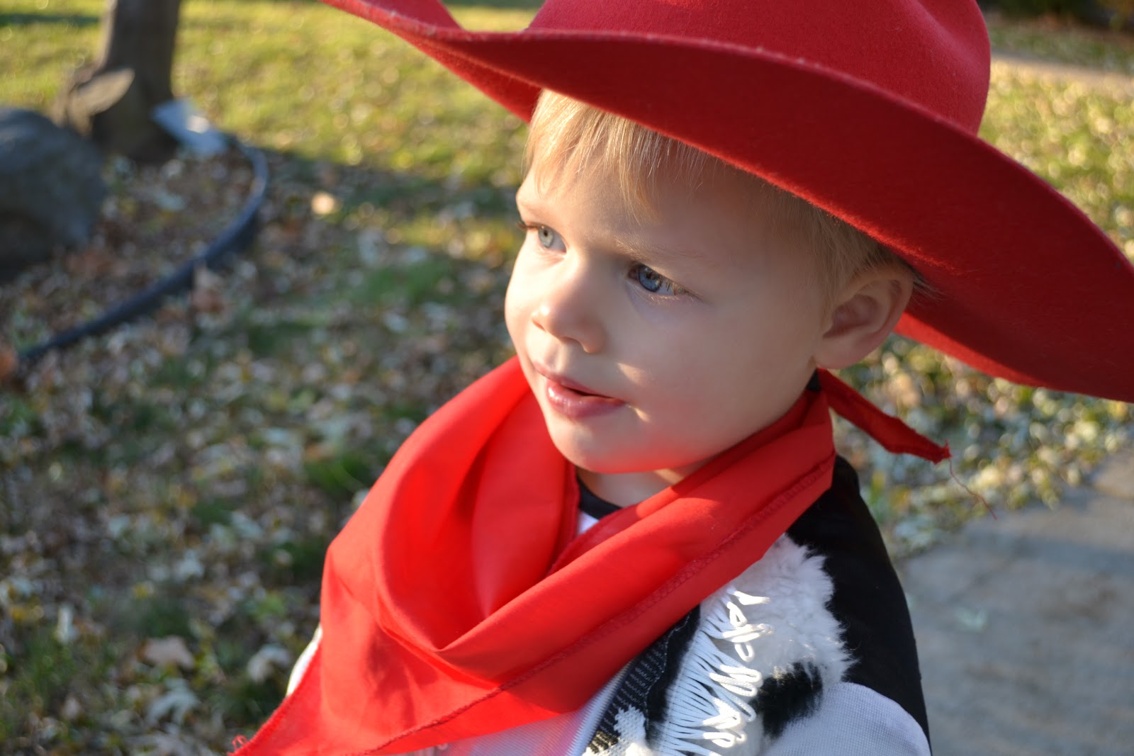 My Little Cowgirl Whispers Of Comfort