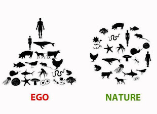 Ego y Nature