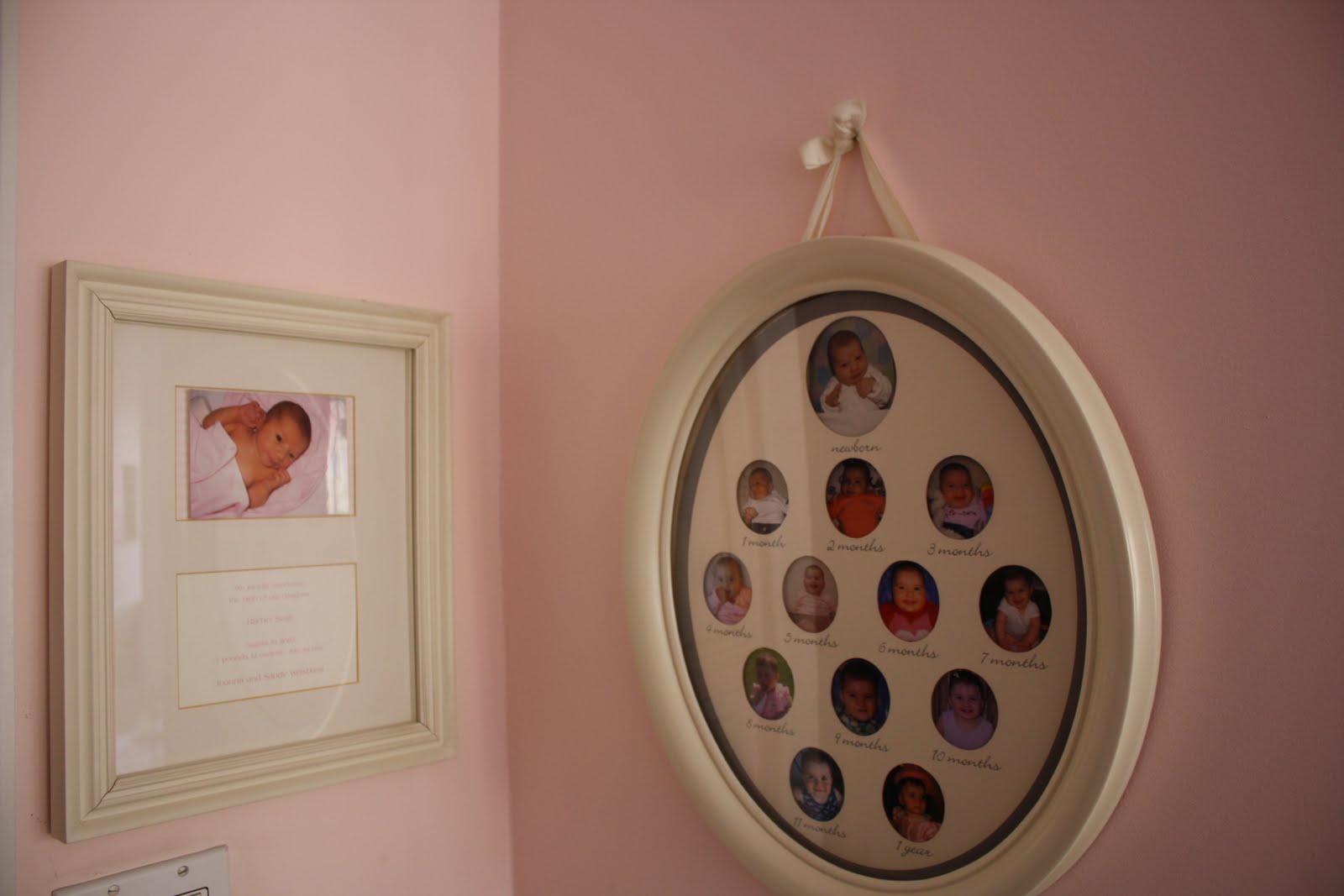 Image Is Loading Pottery Barn Kids Frame Amp Owls Birds Pink