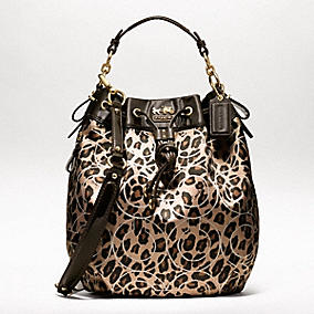 Coach Bags New Arrival 2017