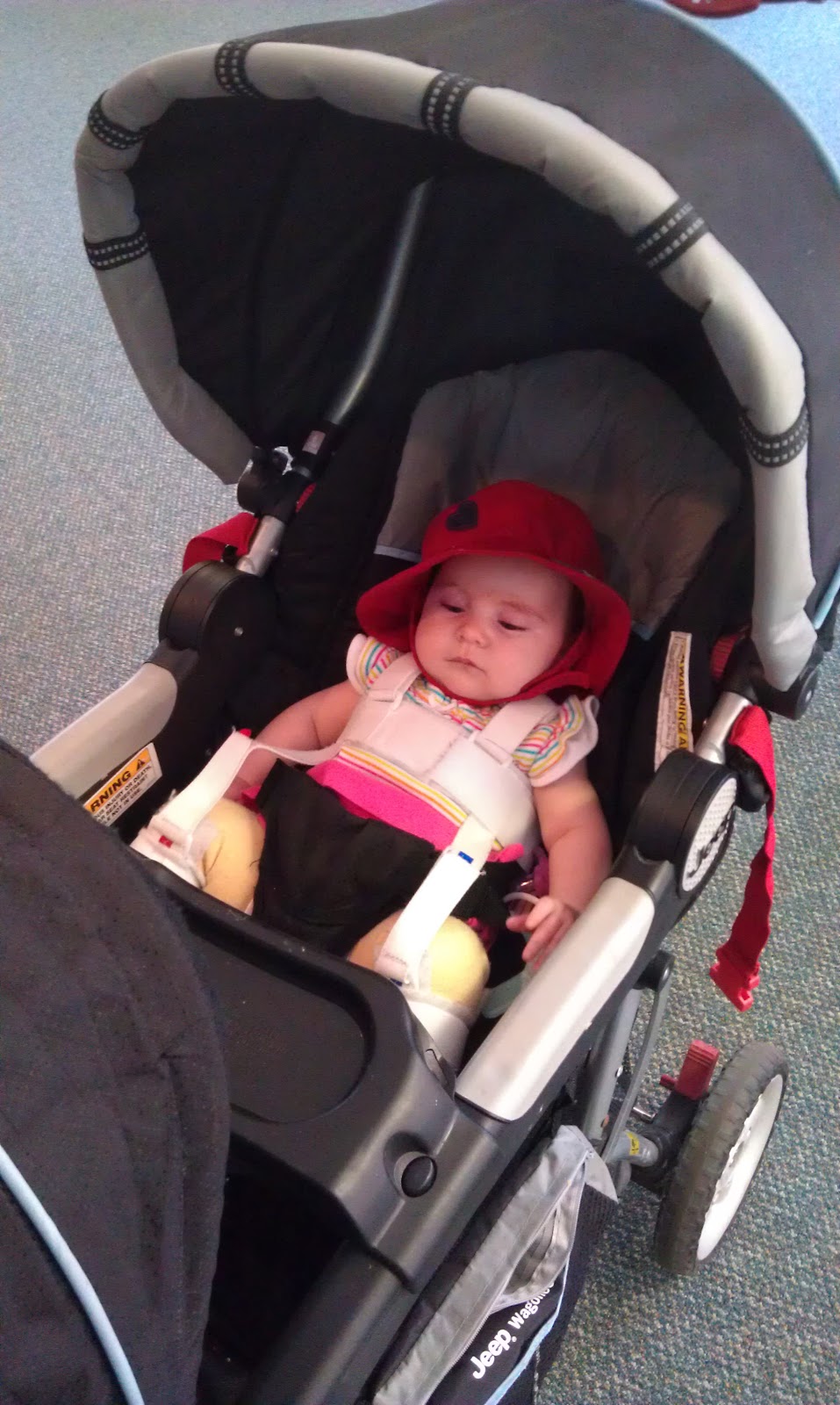 Froggied Princess Our life with a WheatonPavlik Harness Our First