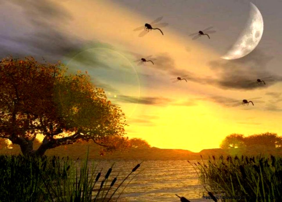 Lovely Nature Wallpapers Widescreen HD Wallpapers Lovely Nature Wallpapers Widescreen HD Wallpapers