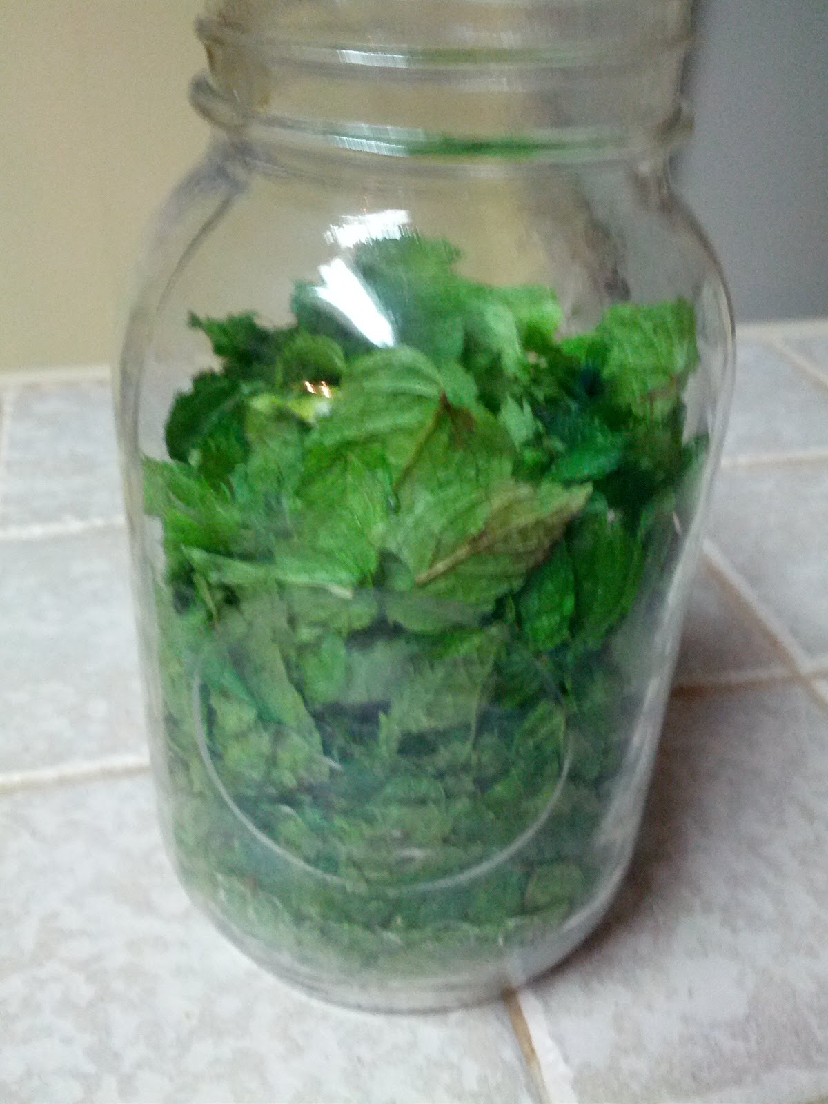 DIY Mint Extract