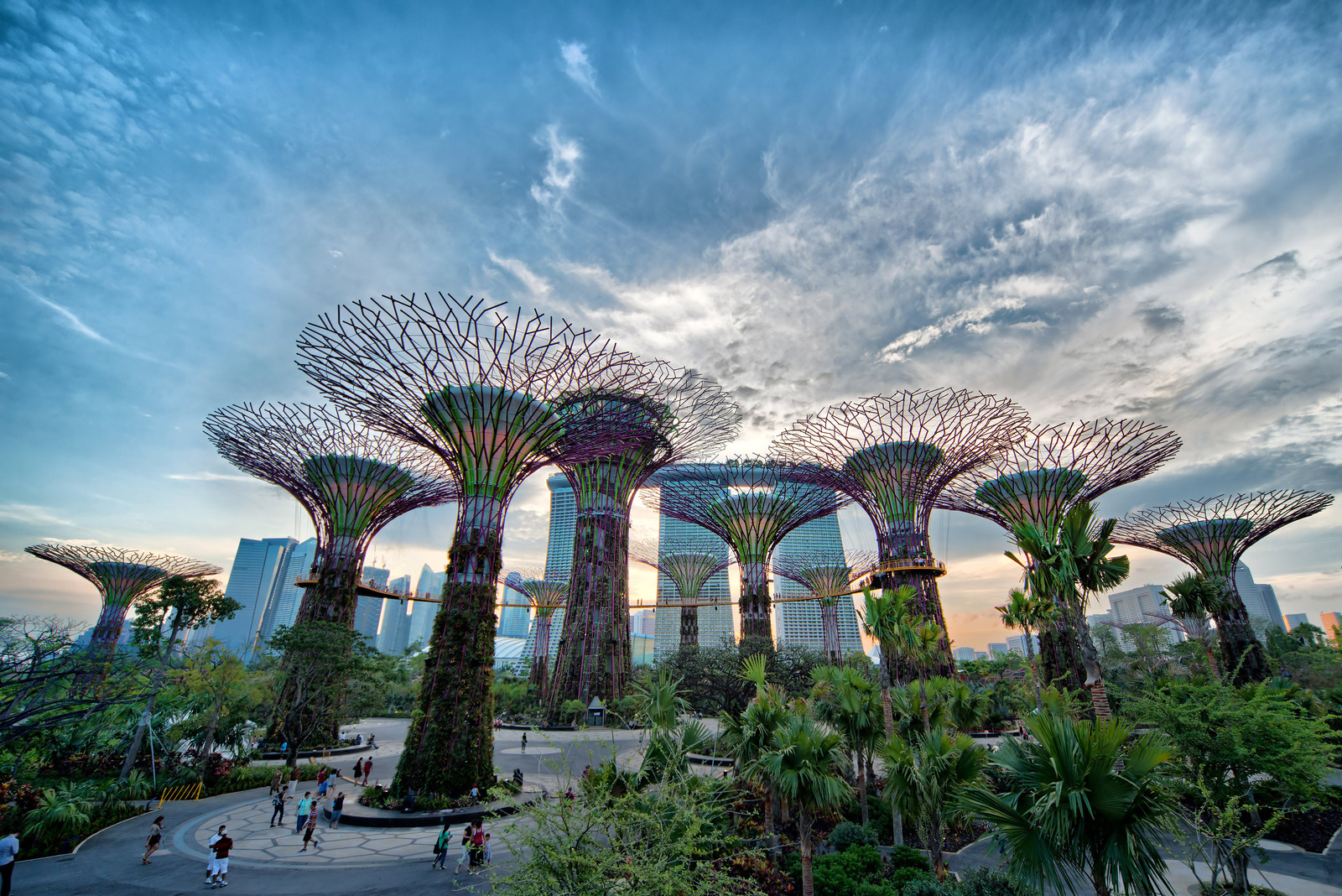 Garden By The Bay Attractions attractions of singapore!: gardenthe bay Garden By The Bay Attractions attractions of singapore!: gardenthe bay