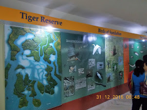 "Mangrove Interpretation centre" in  Sajnekhali Watchtower Complex.