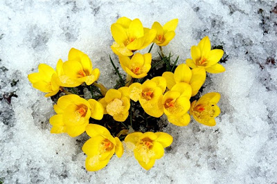 http://3.bp.blogspot.com/-VnOjiISLoVk/UTmoqqpUHWI/AAAAAAAADRs/vLSl-CVMsGQ/s400/4c21d4cae2aa.jpg