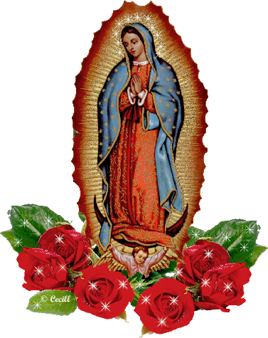 Colección de Gifs ®: IMÁGENES ANIMADAS DE LA VIRGEN DE GUADALUPE