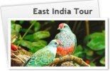 East India Tour