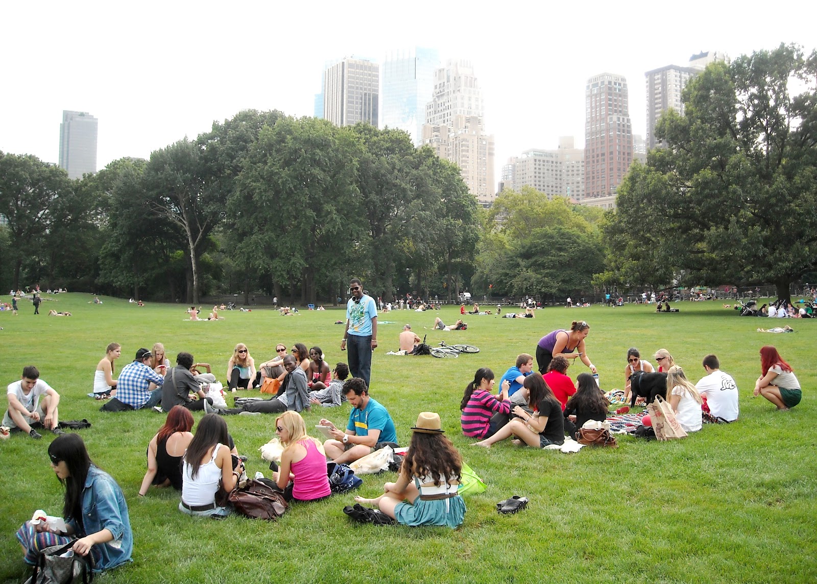 Adventures in NYC with NYLC! NYLC Group Activity Picnic in Central Park