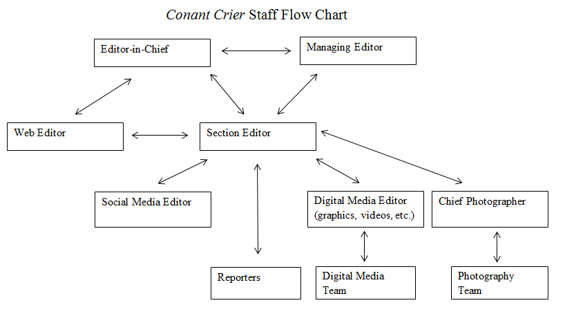Newspaper Hierarchy Chart