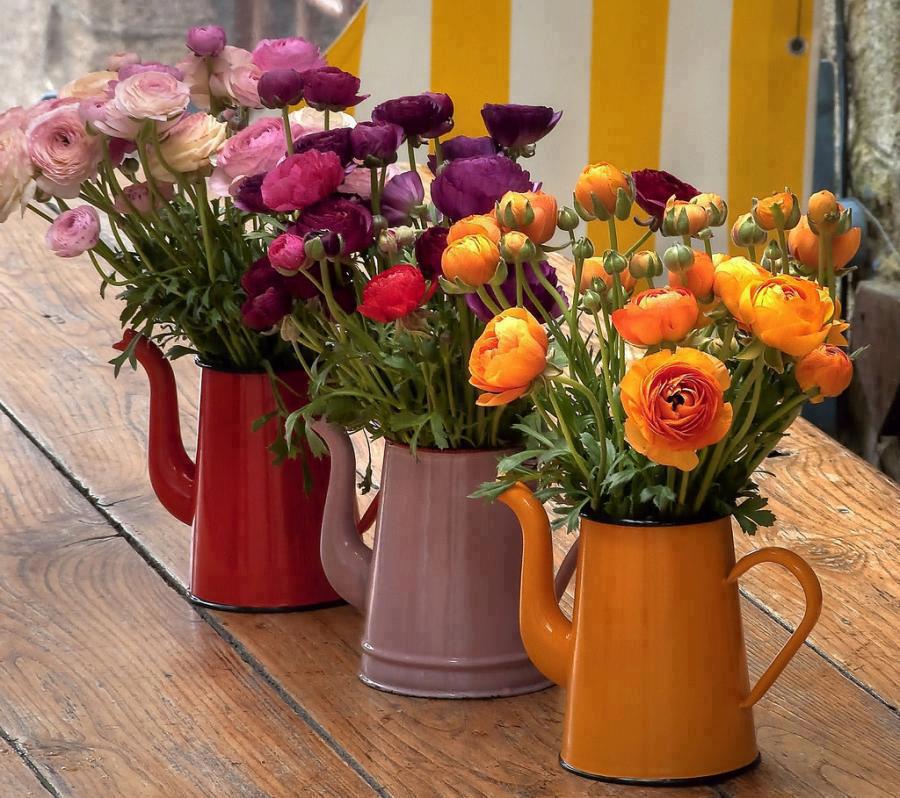 What time is o'clock? Flowers in coffee pots