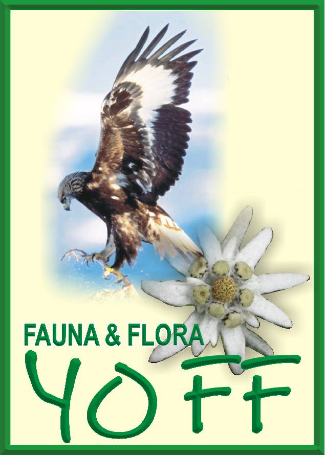 Click pe sigla pentru a accesa harta Europa Natura 2000