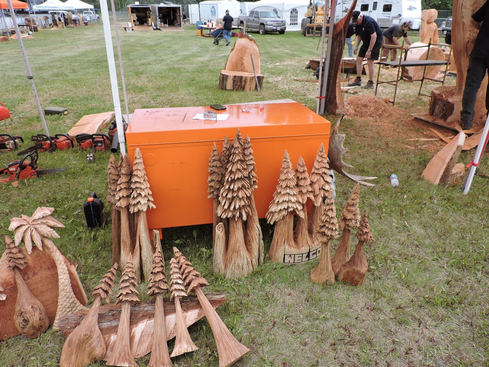 Ray and Cindy's RV Travels Chain Saw Carving