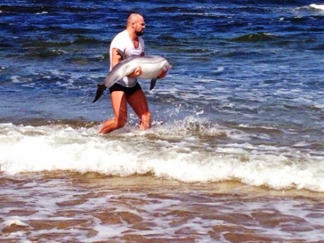 #11. MMA fighter, Cathal Pendred, saw a baby dolphin stuck helplessly on shore. He picked her up and tossed her back into the ocean. - 24 Happy Animal Photos Made Possible By The People Who Saved Them. #11. MMA fighter, Cathal Pendred, saw a baby dolphin stuck helplessly on shore. He picked her up and tossed her back into the ocean. - 24 Happy Animal Photos Made Possible By The People Who Saved Them.