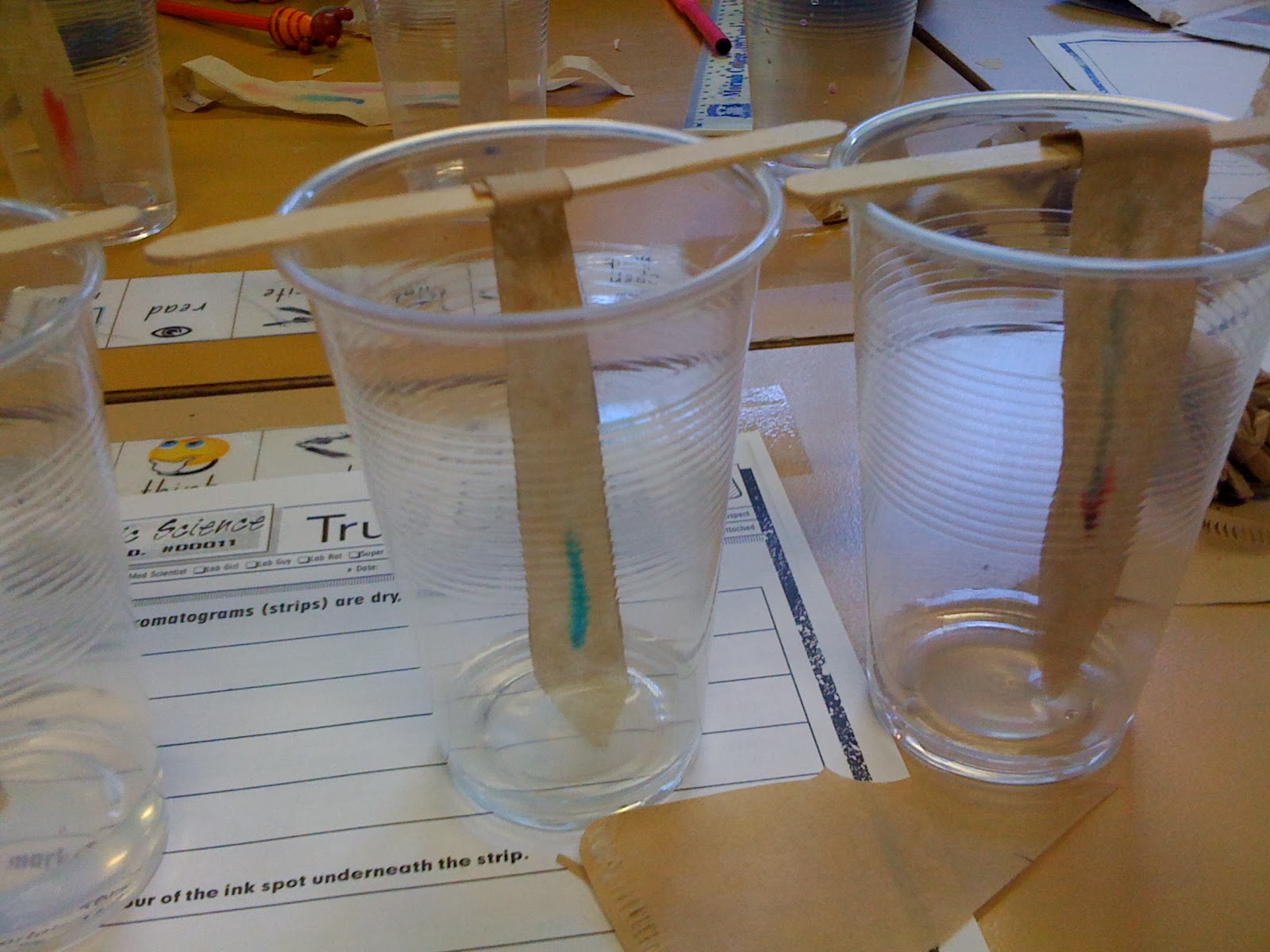 Creative Critters Forensic Science Chromatography