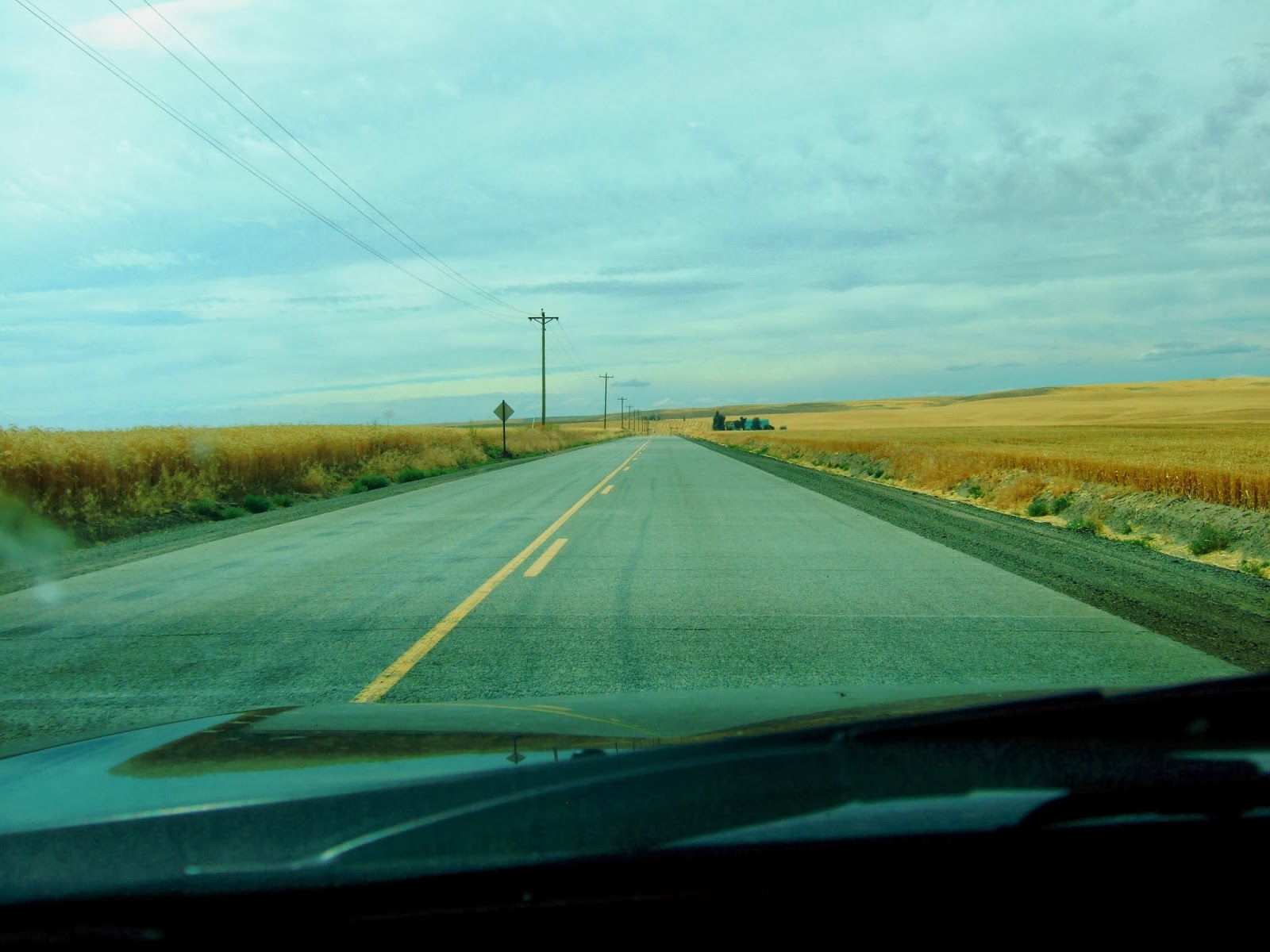 Reading the Washington Landscape Eureka Flat a Coulee Formed by Wind?