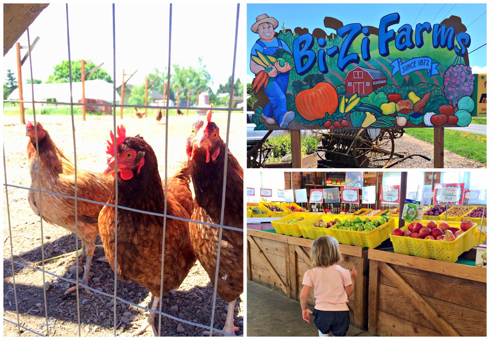 Thisway Thataway BiZi Farms Furry Friends and Sunshine Snacks