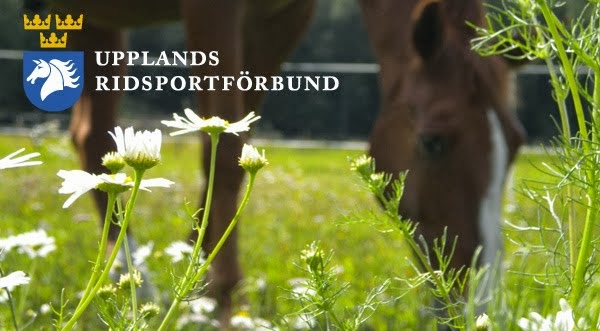 Upplands Ridsportförbund