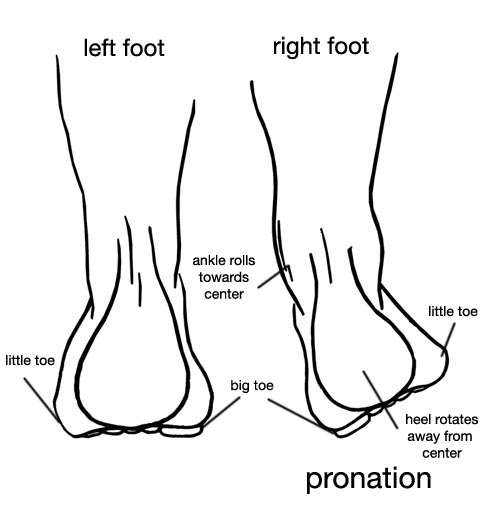 Labeled Foot Diagram